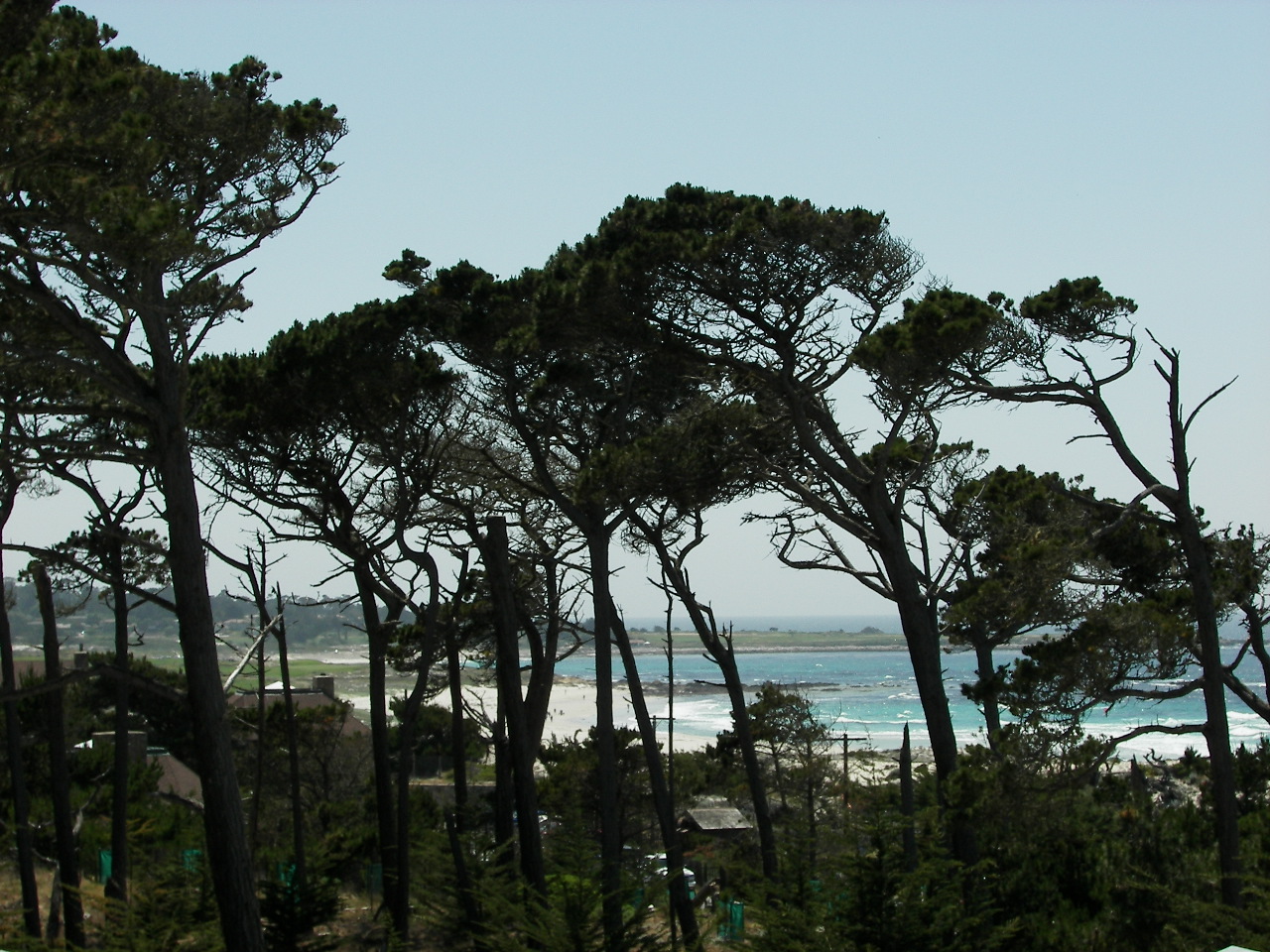 2007/100_3395.jpg