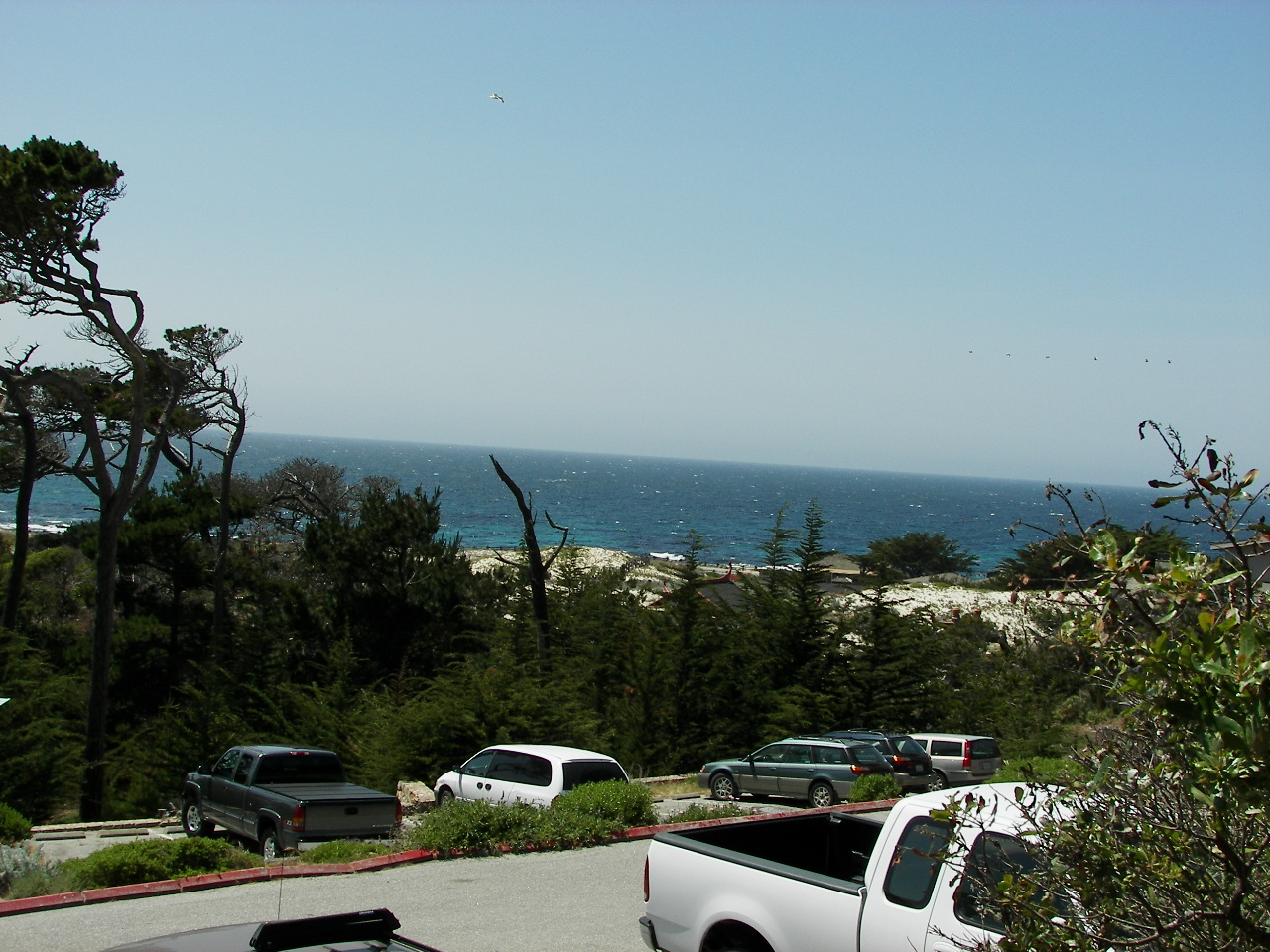 2007/100_3397.jpg