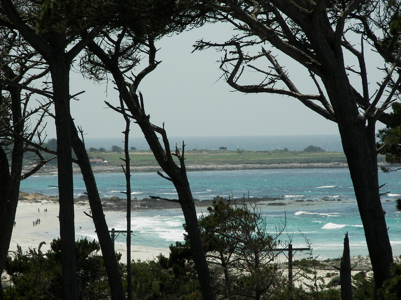 2007/100_3398.jpg