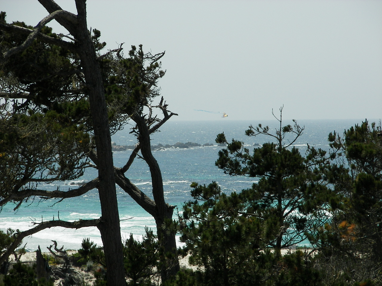 2007/100_3401.jpg