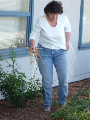 ServeDay2009/Serve_Day_22.jpg
